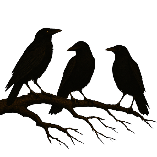 Three crow silhouettes in the Priddy Positivity footer graphic